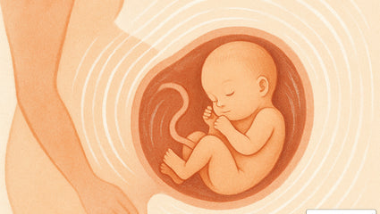 White Noise in the Womb – Your Baby's First Lullaby
