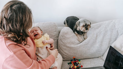 Colic Conquered: Treatment Strategies for Infants