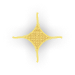 banner-right-star1